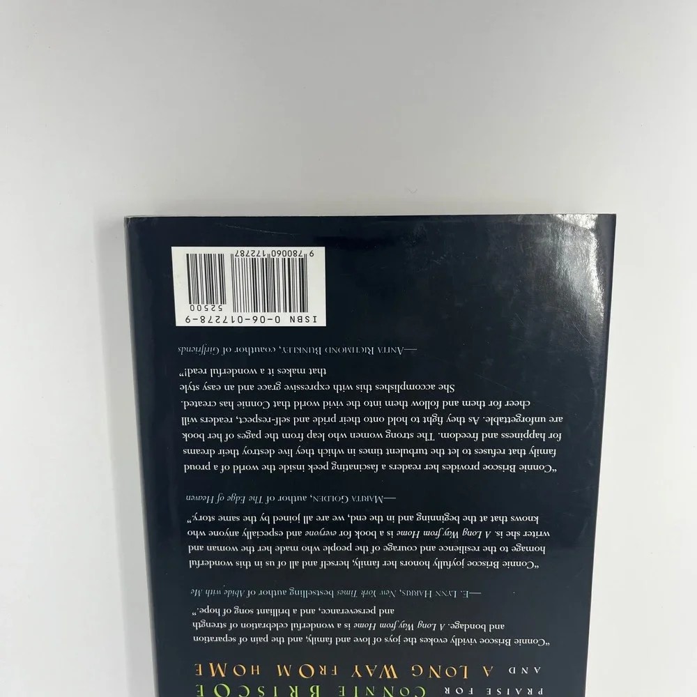 A Long Way from Home By Connie Briscoe 1999 Paperback‎ Novel Book Fiction